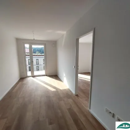 erste eigene Wohnung - Ihr Wohn(t)raum im Tullnerfeld - großzügige 2-Zimmerwohnung / Neubau / topmodern / Erstbezug - Tiefgarage vorhanden! - Bild 3
