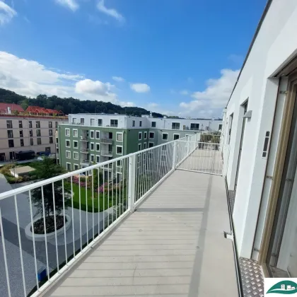 erste eigene Wohnung - Ihr Wohn(t)raum im Tullnerfeld - großzügige 2-Zimmerwohnung / Neubau / topmodern / Erstbezug - Tiefgarage vorhanden! - Bild 2