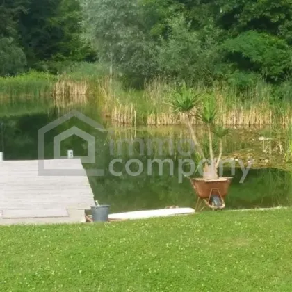 Villa in Einzellage und möglicher zusätzlicher Bebauung mit 5 Doppelhäusern - Bild 3