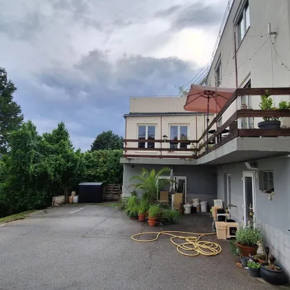 Großes Baugrundstück mit Althausbestand und schönem Waldanteil in Leobendorf.  Für Bauträger/2 Wohneinheiten möglich. - Bild 3