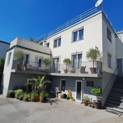Großes Baugrundstück mit Althausbestand und schönem Waldanteil in Leobendorf.  Für Bauträger/2 Wohneinheiten möglich. - Bild 2