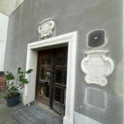 Riesige Lagerflächen - ehemalige grüße Weinproduktionsstätte in Straß im Straßertale zu verkaufen - Bild 2