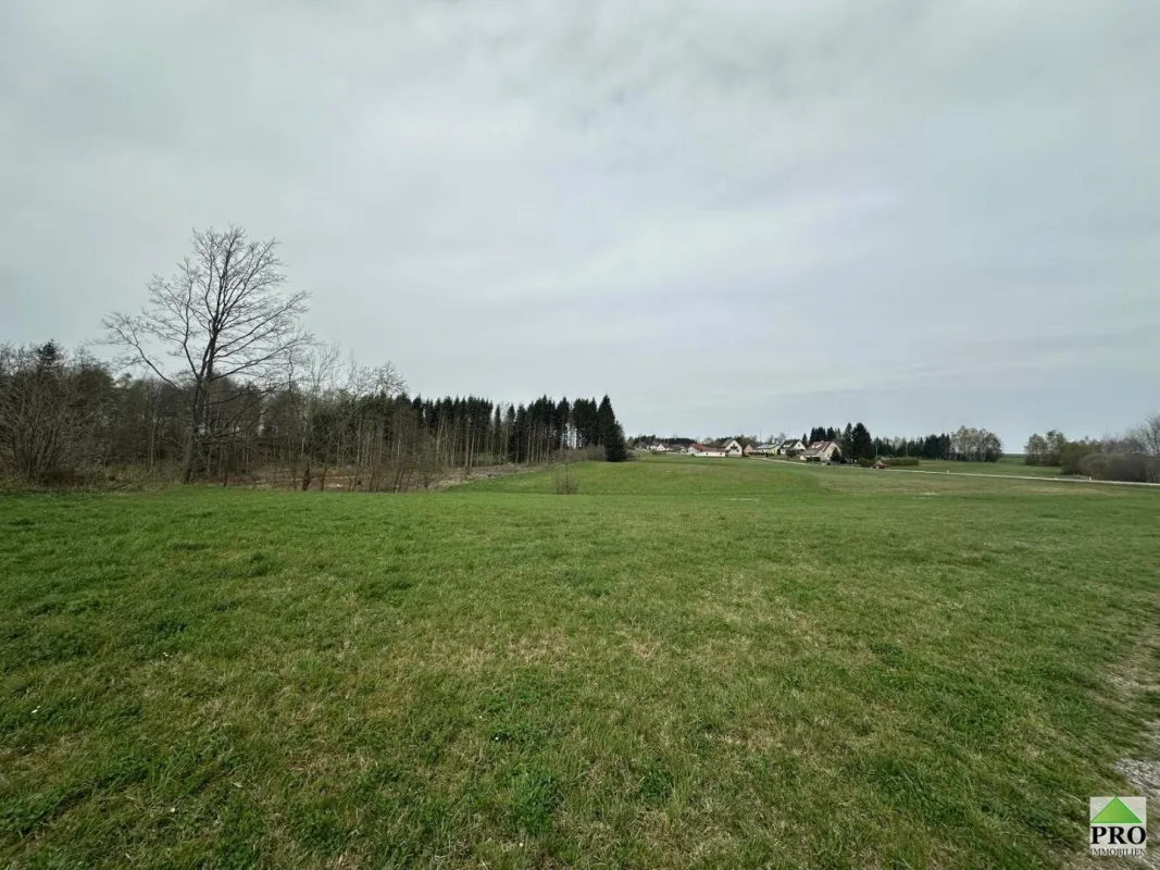 Riesiges Grundstück von 12.666m2 davon 3.400m2 Bauland zu Verkaufen, in guter sonniger und ruhigen Lage in der Burgstadt Heidenreichstein - Bild 1