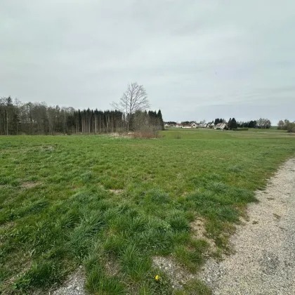 Riesiges Grundstück von 12.666m2 davon 3.400m2 Bauland zu Verkaufen, in guter sonniger und ruhigen Lage in der Burgstadt Heidenreichstein - Bild 2
