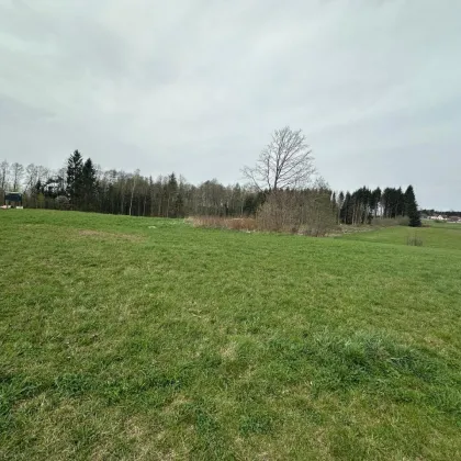 Riesiges Grundstück von 12.666m2 davon 3.400m2 Bauland zu Verkaufen, in guter sonniger und ruhigen Lage in der Burgstadt Heidenreichstein - Bild 3