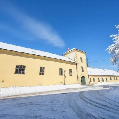 Traiskirchen - Bauträgerprojekt ! 3.770m2 Grundstück mit ehemaligem Schlossobjekt  zu verkaufen - Bild 2