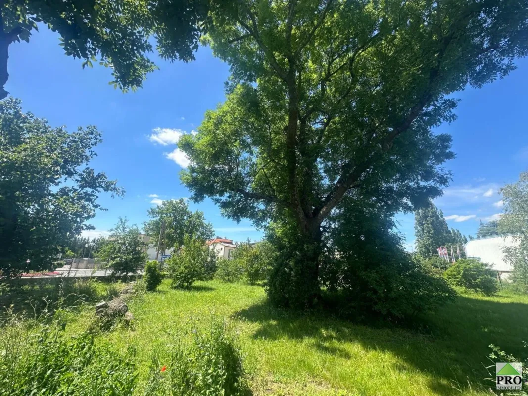 Traiskirchen - Bauträgerprojekt ! 3.770m2 Grundstück mit ehemaligem Schlossobjekt  zu verkaufen - Bild 1