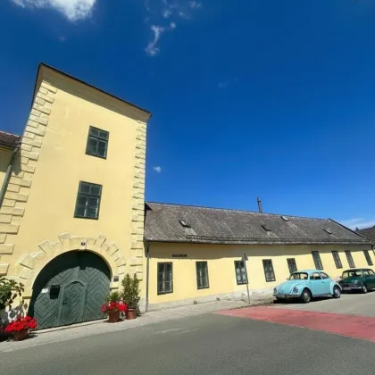 Traiskirchen - Bauträgerprojekt ! 3.770m2 Grundstück mit ehemaligem Schlossobjekt  zu verkaufen - Bild 3