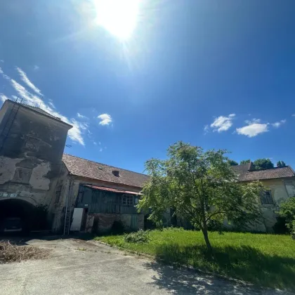 Traiskirchen - Bauträgerprojekt ! 3.770m2 Grundstück mit ehemaligem Schlossobjekt  zu verkaufen - Bild 2