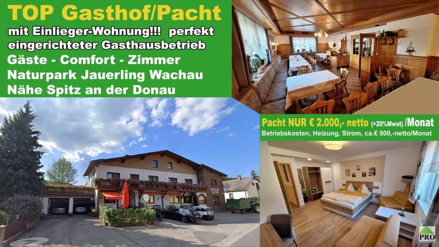 Top gepflegter Gasthof mit Gästezimmer - Ganzjähriges Wohnen und Betrieb im Naturpark Jauerling Wachau - Bild 1