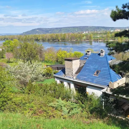 Edelrohbau-Villa, Herrschaftlicher Wohnsitz am Fuße des Kahlenberges an der Donau. Teilrestauriert entkernt und komplette Ausbauplanung. - Bild 2