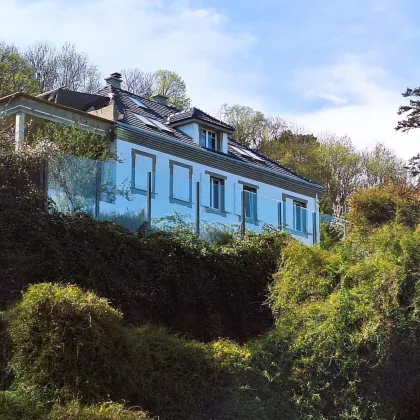 Edelrohbau-Villa, Herrschaftlicher Wohnsitz am Fuße des Kahlenberges an der Donau. Teilrestauriert entkernt und komplette Ausbauplanung. - Bild 3