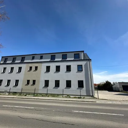 Anleger-Investoren-Gelegenheit! 6 Wohnungen (50% vom Gesamtzinshaus) neu saniert,  zu verkaufen! - Bild 2
