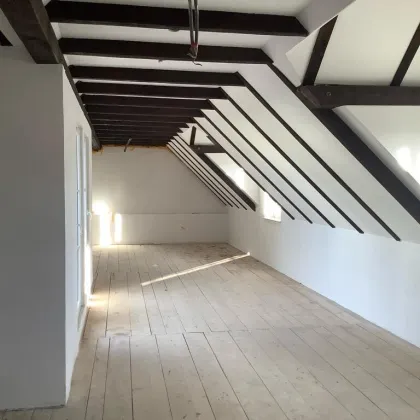 Einzigartiges Winzerhaus! - Bild 2