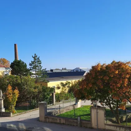 Gepflegte Terrassenwohnung 14 m² Terrasse in Hirtenberg: 51m² mit Balkon und Stellplatz! - Bild 3