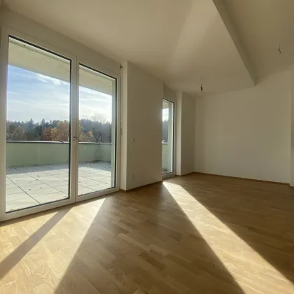 Lichtdurchflutete TRAUM-WOHNUNG mit 50 m² Terrassenfläche - Bild 3