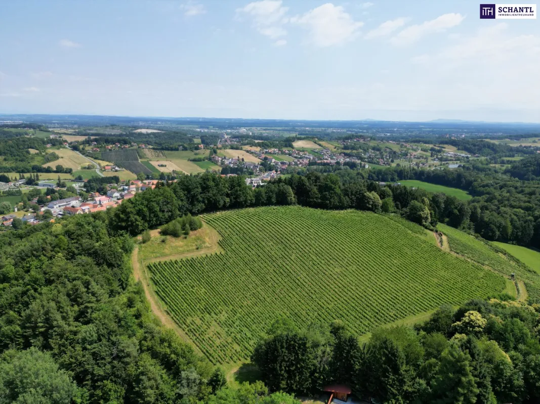 TRAUMHAFTES GRUNDSTÜCK AN DER SÜDSTEIRISCHEN WEINSTRASSE! Ein Ausblick der Ihnen die Sprache verschlagen wird - im schönsten Teil der grünen Steiermark. - Bild 1