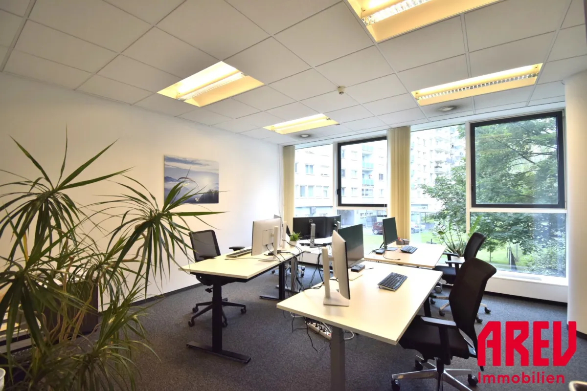 GROSSZÜGIGE MODERNE  BÜROFLÄCHE IN ZENTRALER LAGE - 1.OG - Bild 1
