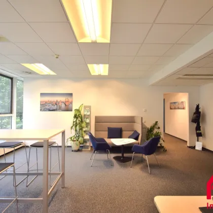 GROSSZÜGIGE MODERNE  BÜROFLÄCHE IN ZENTRALER LAGE - 1.OG - Bild 2
