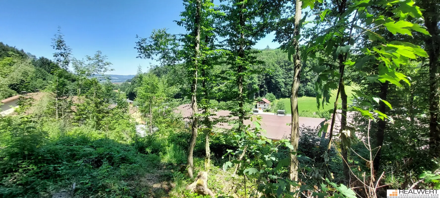 Grundstück mit Potential und freiem Ausblick in Hof bei Salzburg - Bild 1