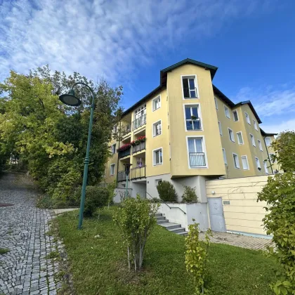 TRAUMHAFTE WOHNUNG IN BAD VÖSLAU: STILVOLL UND MODERN - Bild 2