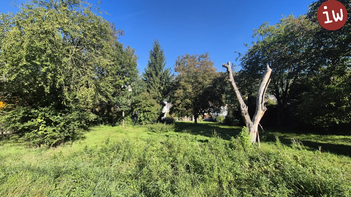Sonniges Baugrundstück in Grünruhelage - Bild 1