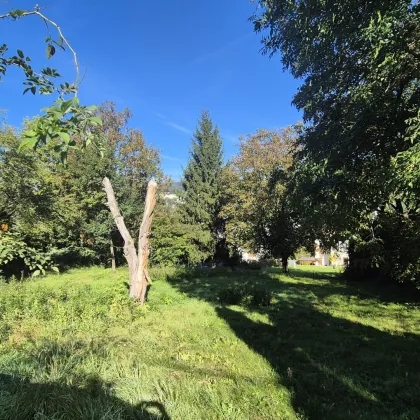 Sonniges Baugrundstück in Grünruhelage - Bild 3