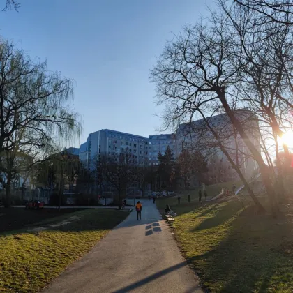 Nähe Waldmüllerpark | Helle 2-Zimmer-Wohnung – ideal für Singles! - Bild 3