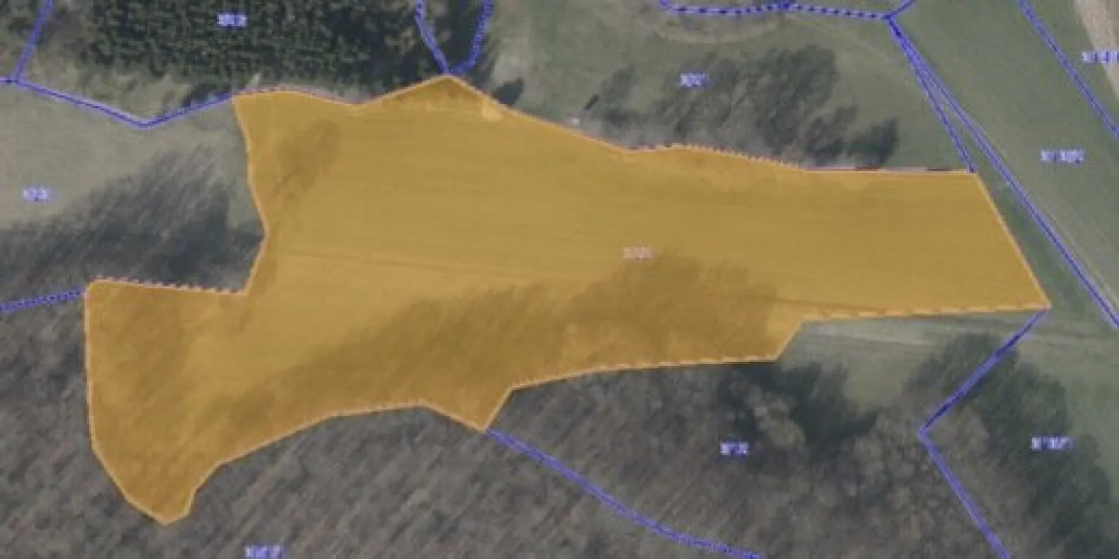 GRUNDSTÜCK IN KALKSBURG - LANDWIRTSCHAFTLICHE NUTZUNG - Bild 1