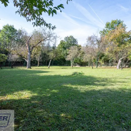 Renovierungsbedürftiges Familienhaus mit großem Grundstück - Südhanglage - Bild 2