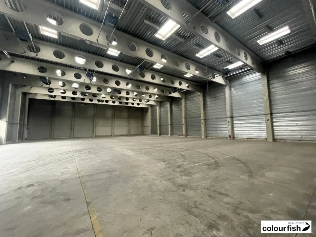 Großzügige Lagerhalle mit 9 Meter Raumhöhe - Bild 1