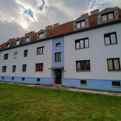 Geförderte unbefristete Genossenschaftswohnung in absoluter Ruhelage! Bastlerhit! - Bild 2