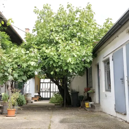 Tradition trifft Potenzial – Wohnhaus mit Nebengebäuden und großer Bebauungsmöglichkeit - Bild 3