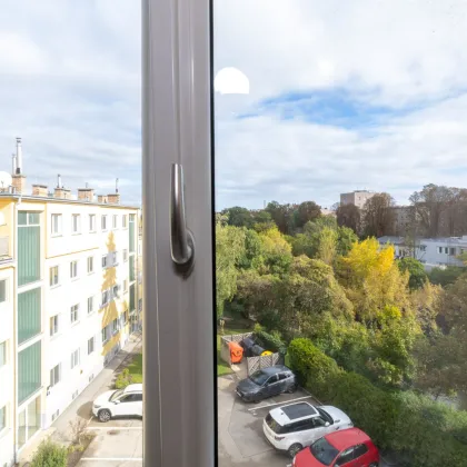 Familienwohnung in Schwechat: 3-Zimmer mit Stadtblick und Stellplatz! - Bild 2
