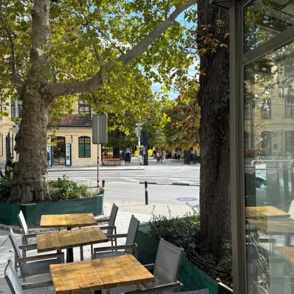 Höchste Sichtbarkeit direkt bei Schönbrunn | Ablösefreie Gastro- oder Geschäftsfläche - Bild 3