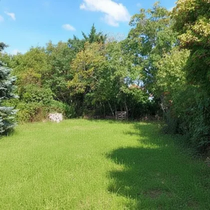 Einfamilienhaus mit 800 m² Grund in sehr guter Lage - Bild 2