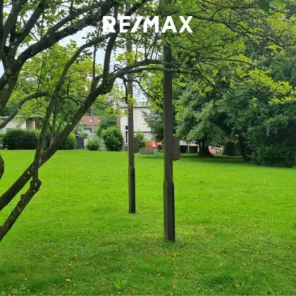 Sanierungsbedürftige Praxis/Büro Räumlichkeiten in Seewalchen am Attersee zu kaufen - Bild 2