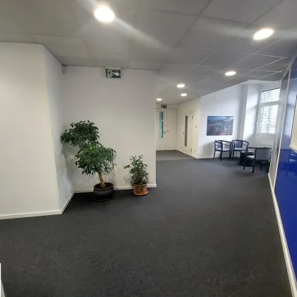 Büro/Praxis in Parsch - Bild 3