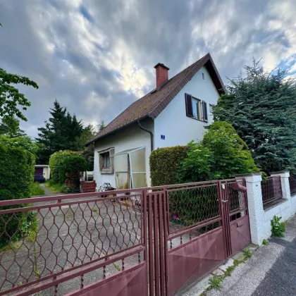 Charmantes Einfamilienhaus mit Nebengebäude am Stadtrand mit großem Garten in ruhiger Lage - Bild 3
