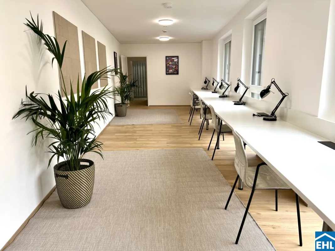 High Five – Urban Living in Linz! - Bild 1