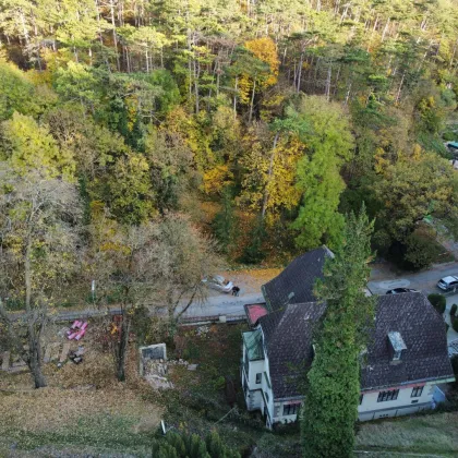 Kurzfristiger Grundstücks-Herbstschlussverkauf I von 283m² bis 1.080m² Baugründe in Villen-Waldrandlage - Bild 2