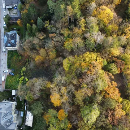 Kurzfristiger Grundstücks-Herbstschlussverkauf I von 283m² bis 1.080m² Baugründe in Villen-Waldrandlage - Bild 3