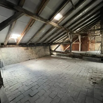 baubewilligter Rohdachboden im 2. Bezirk - Bild 2