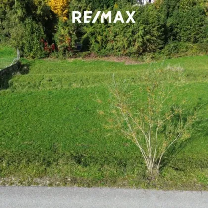 Traumgrundstück mit Seeblick in Steinbach am Attersee - Bild 3