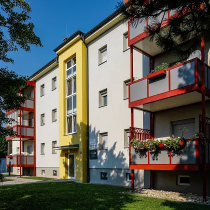 Kleine aber feine Singlewohnung - Bild 3
