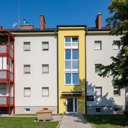 Kleine aber feine Singlewohnung - Bild 2