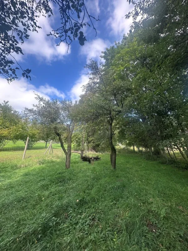 Hagenbrunn im Speckgürtel Wiens - Großzügiges Baugrundstück mit ca 2500m² - Bild 1