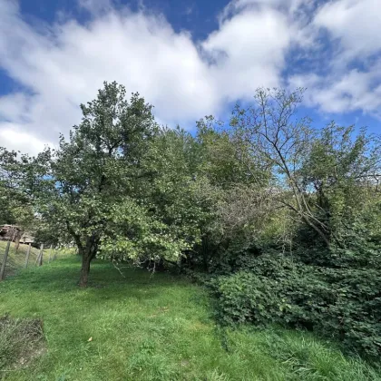 Hagenbrunn im Speckgürtel Wiens - Großzügiges Baugrundstück mit ca 2500m² - Bild 2
