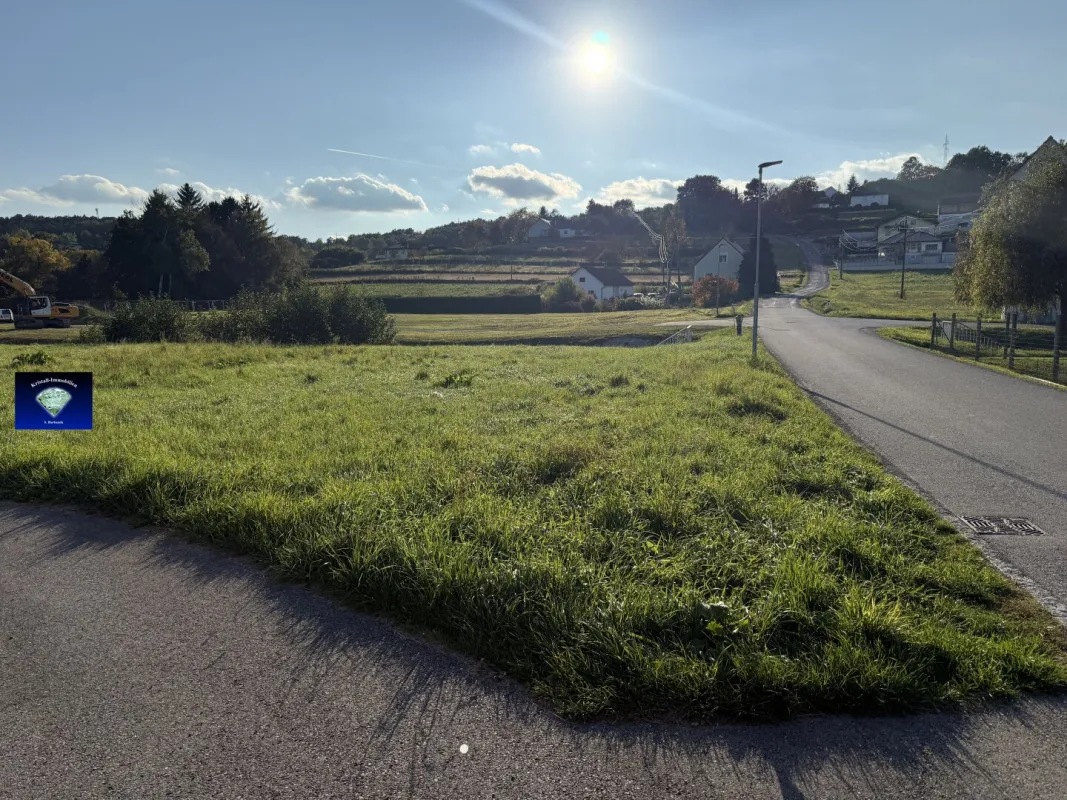 Olbendorf-10080 - Bild 1