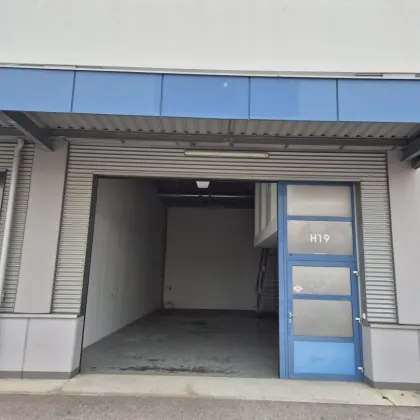 Ared Park: Lager- und Gewerbehalle mit Büro und Sektionaltor ca.142 m² - H19 - Bild 2